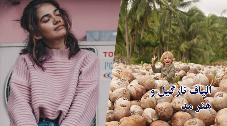  الیاف نارگیل - فرآیند و فرصت‌ها: (2025 ) 