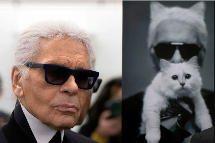 شوپت (choupette ) گربه کارل لاگرفیلد به مت گالا امسال 2023 دعوت شده (2023)