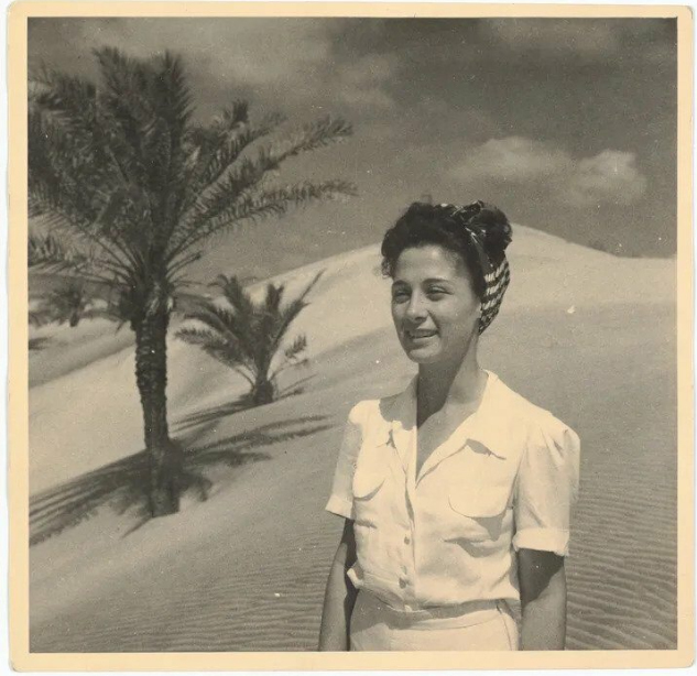 First-ever Chloé retrospective exhibit opens in New York(2023-24) 